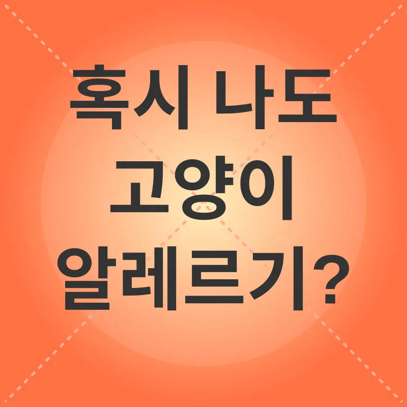 고양이 알레르기 관리_1