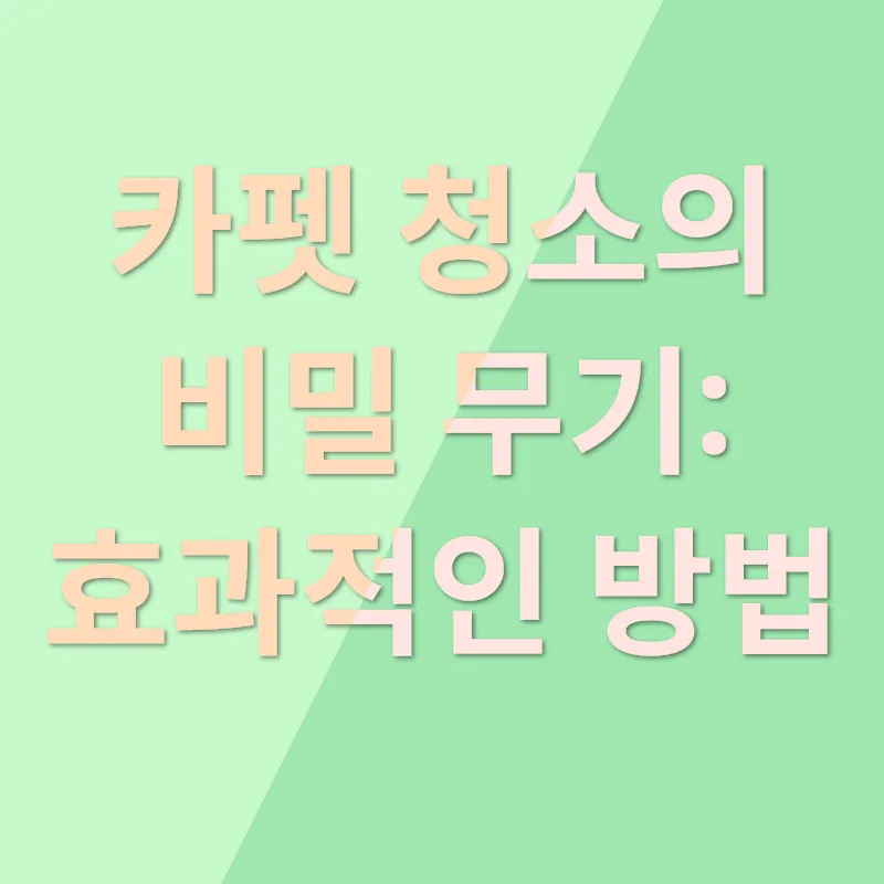 카펫 청소_2