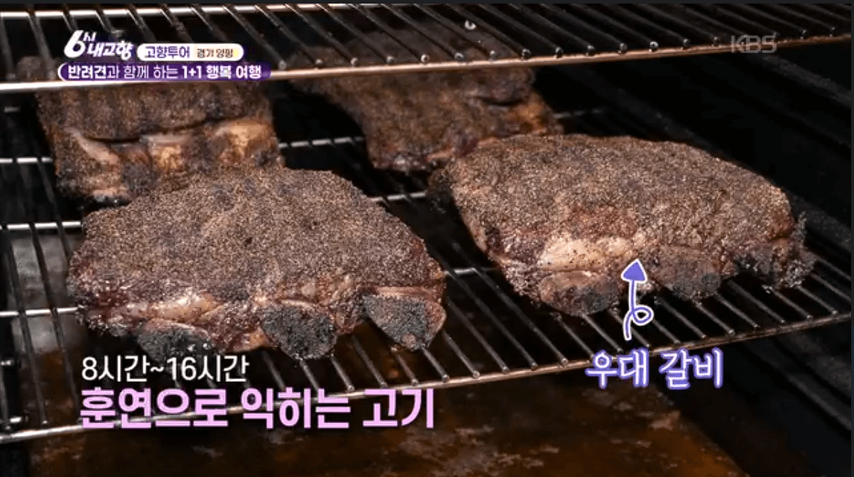 [6시내고향]경기 양평 애견동반 바베큐&middot;정원카페&middot;산악 액티비티 &amp;#39;바베큐레이브 더그림 엑스라이프&amp;#39; 예약 위치 연락처 정보