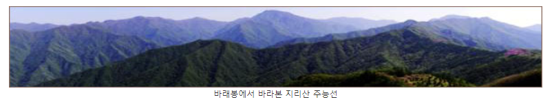 지리산노고단바래봉예약등반코스