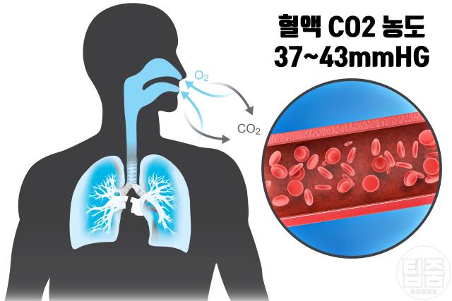 입으로 숨쉬면 얼굴변화 건강