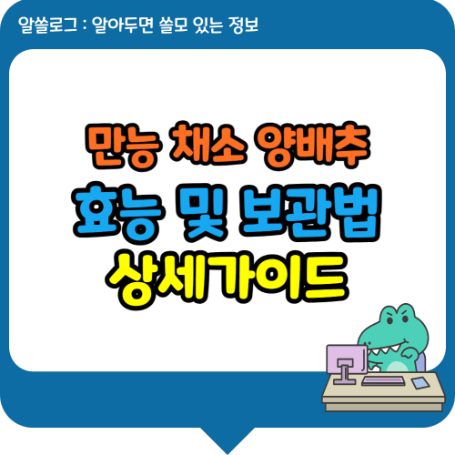 만능 채소, 양배추! 효능부터 보관법까지 상세 가이드