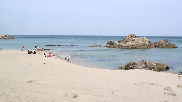 바닷가 모래사장에 사람들이 앉아 바다를 바라보고 있는 모습