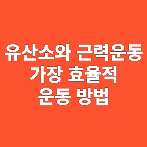 유산소와 근력운동, 가장 효율적인 운동 방법
