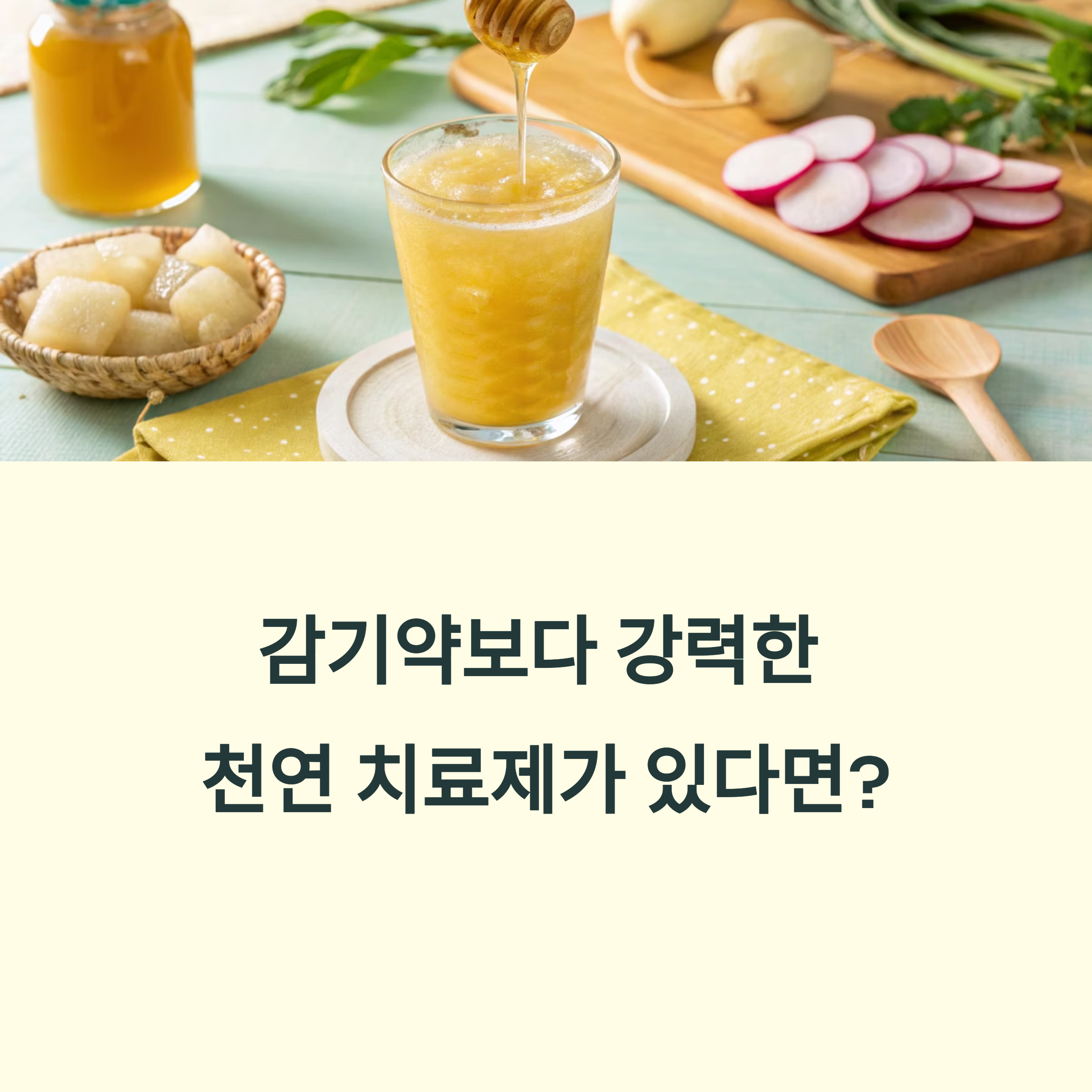 무즙, 감기 예방엔 이만한 자연 약이 없습니다!