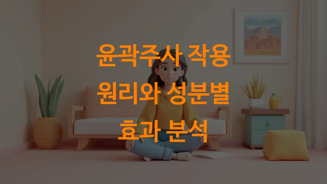 윤곽주사 작용 원리와 성분별 효과 분석