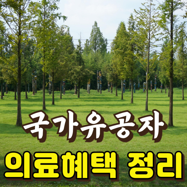 숲 사진이에요.