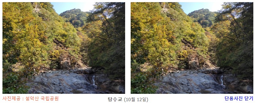 탕수교