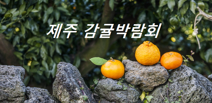 제주감귤박람회