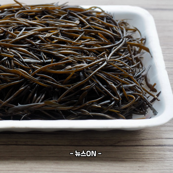 모자반 효능