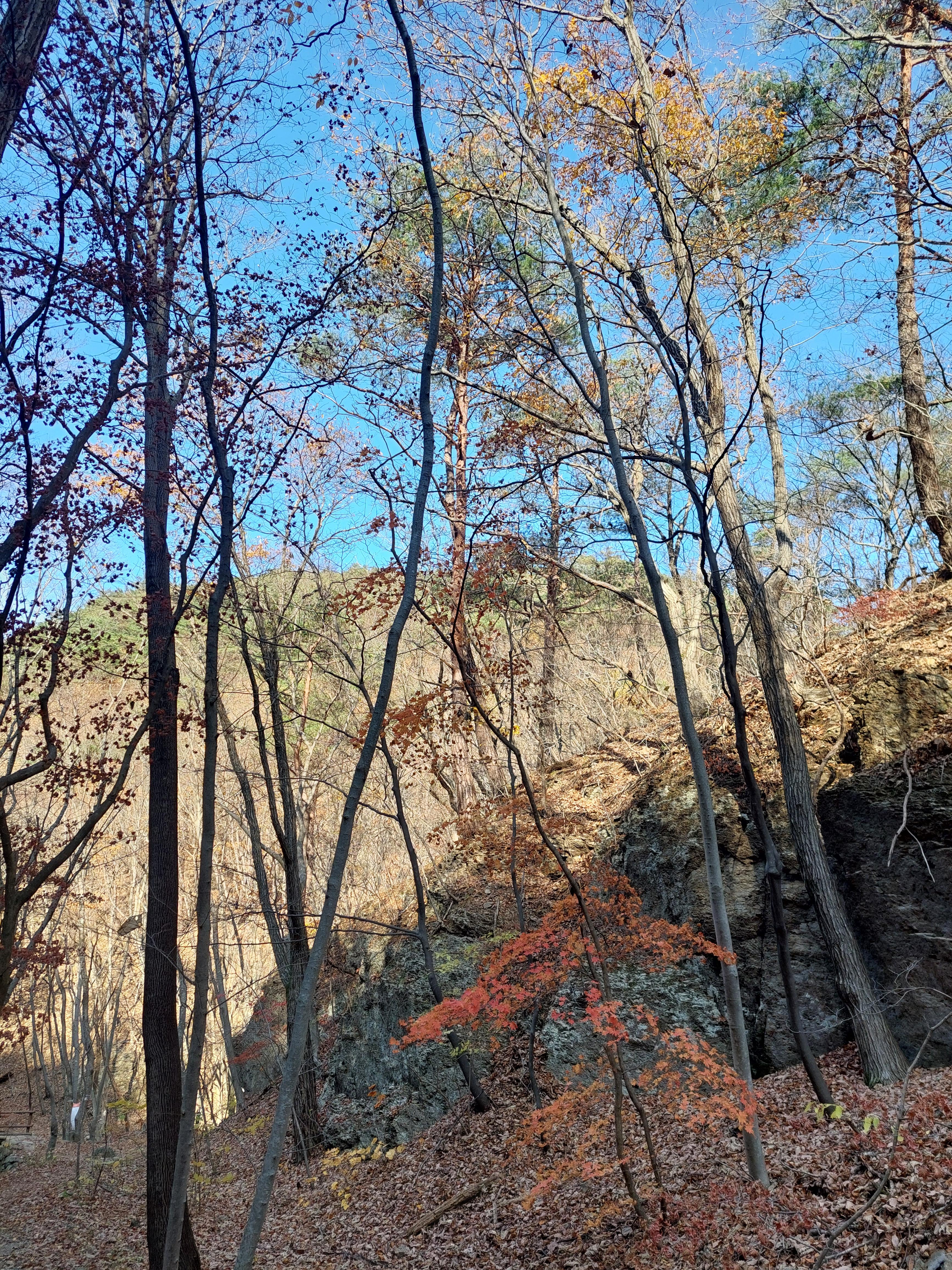 주왕산