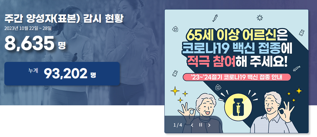 코로나 현황