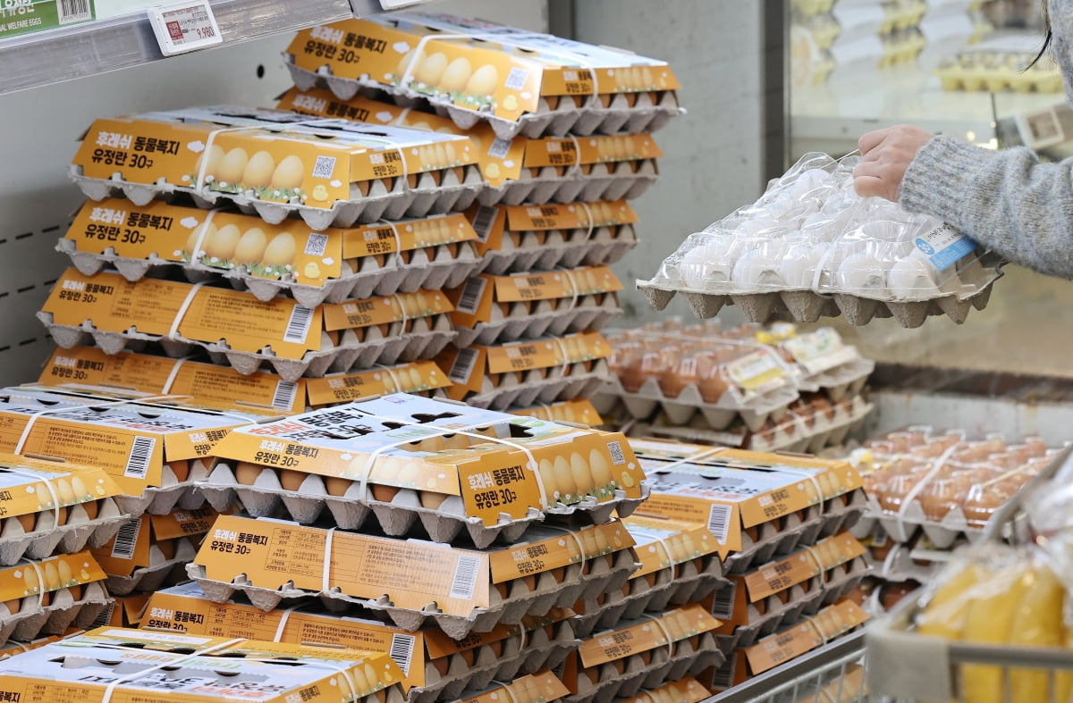 24일 서울의 한 대형마트에서 시민이 달걀을 고르고 있다.