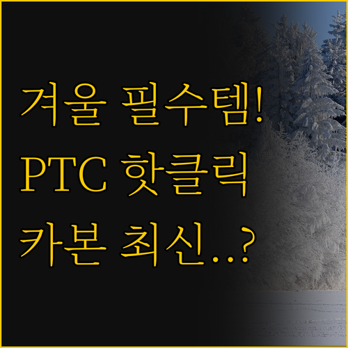 PTC 온풍기와 카본 히터 당신의 겨..