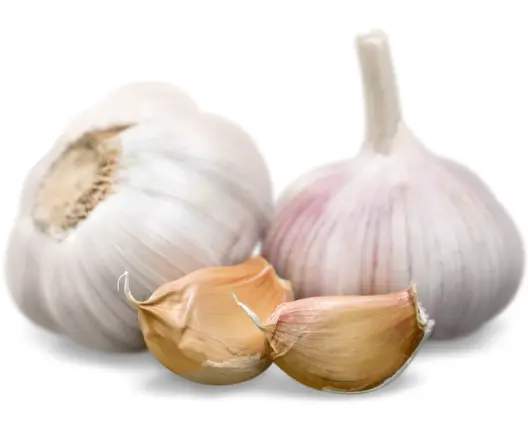 면역력 강화에 좋은 음식 12가지