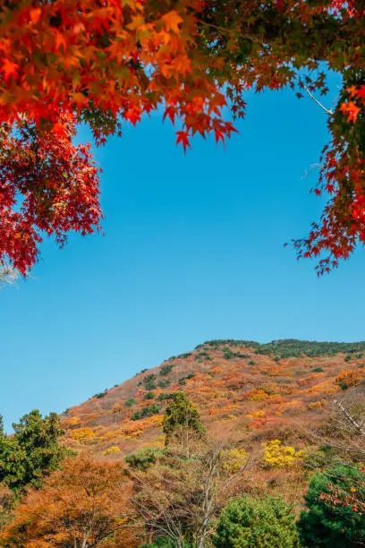 가을산