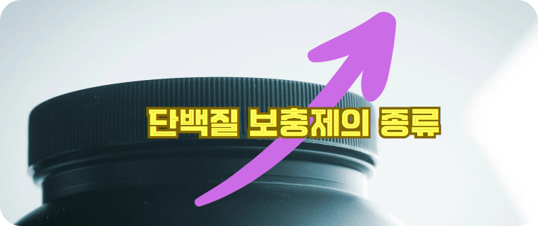 단백질 보충제의 종류