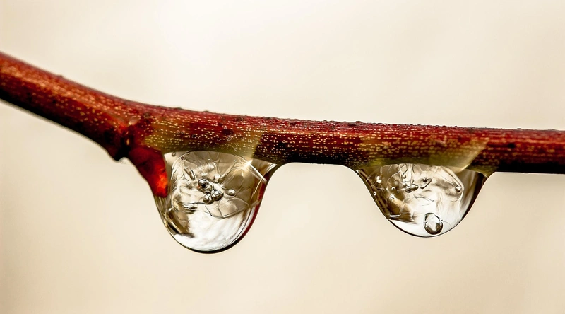 집이 무너지는 꿈해몽: 불안과 희망의 경계