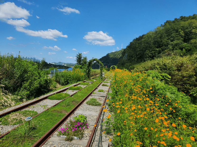 진주-레일바이크-놀이공원