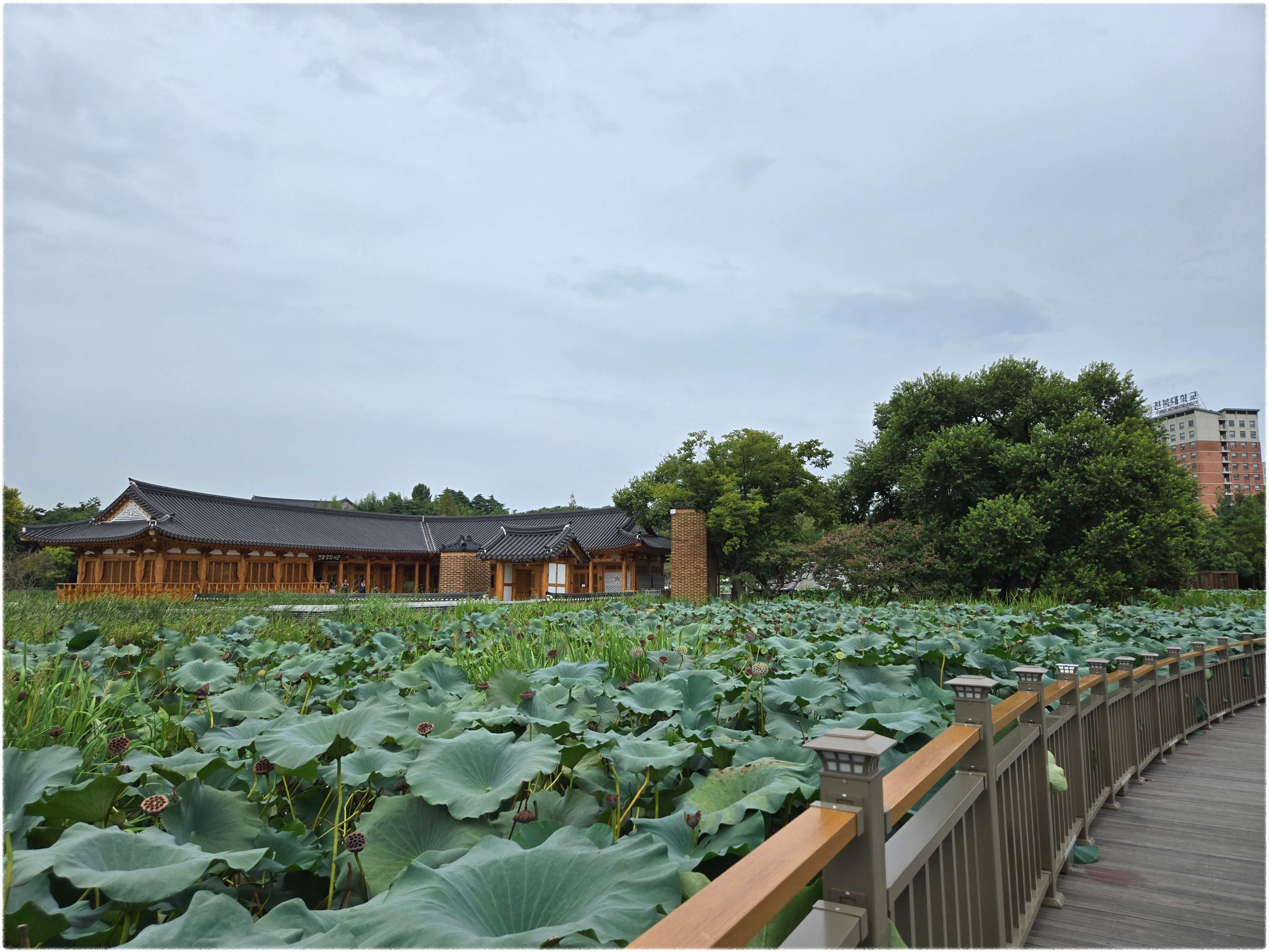 전주 덕진공원 연화정