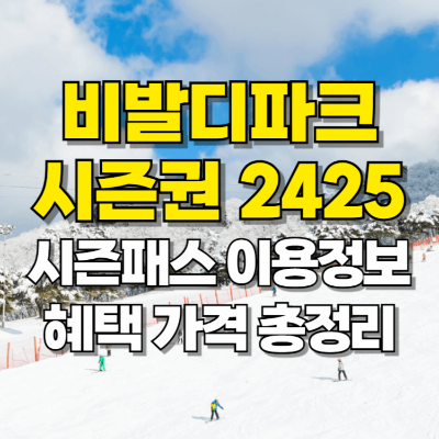 비발디파크 시즌권 2425 스키 시즌패스 가격 혜택 총정리 카드뉴스