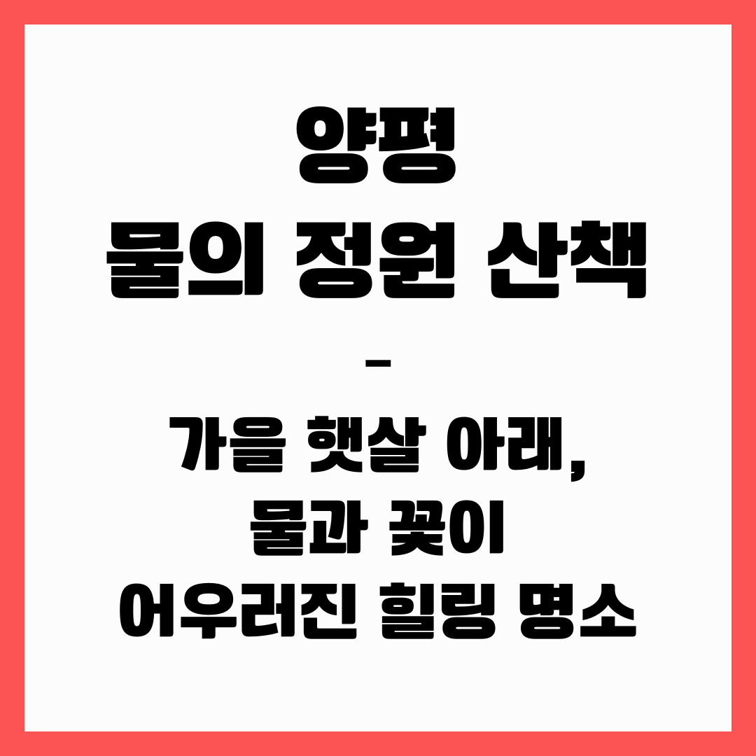 양평 물의 정원 산책&ndash; 가을 햇살 아래, 물과 꽃이 어우러진 힐링 명소