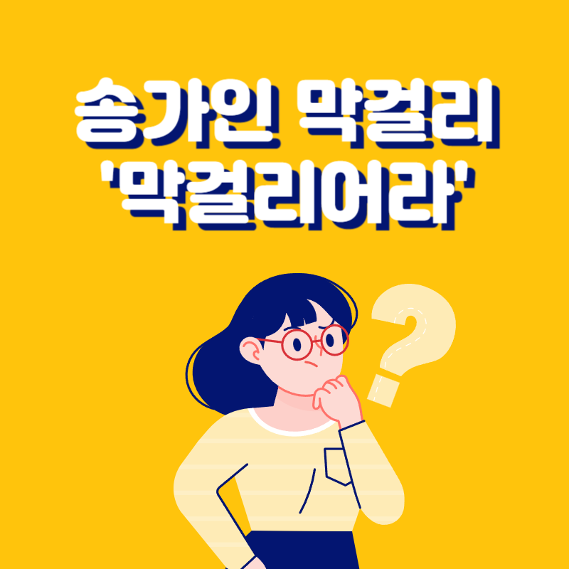 송가인 막걸리