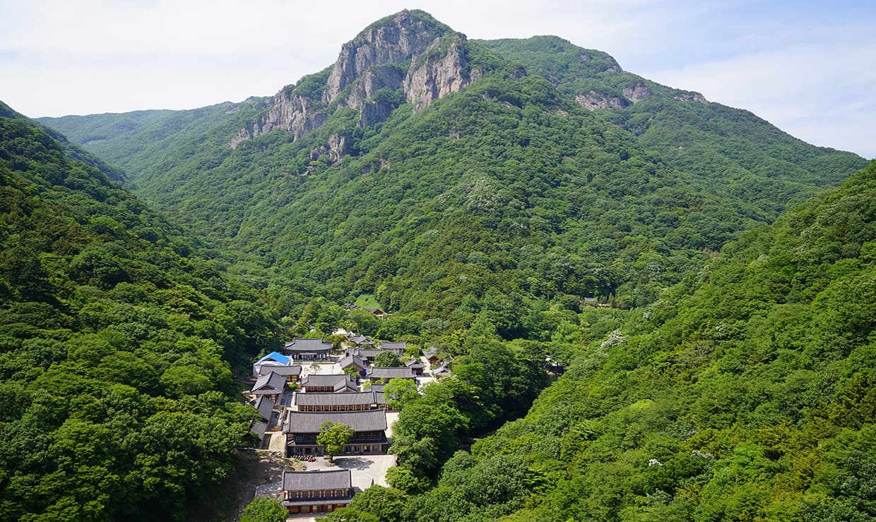 소원 성취 기도발 좋은 전라도 사찰 장성 백양사