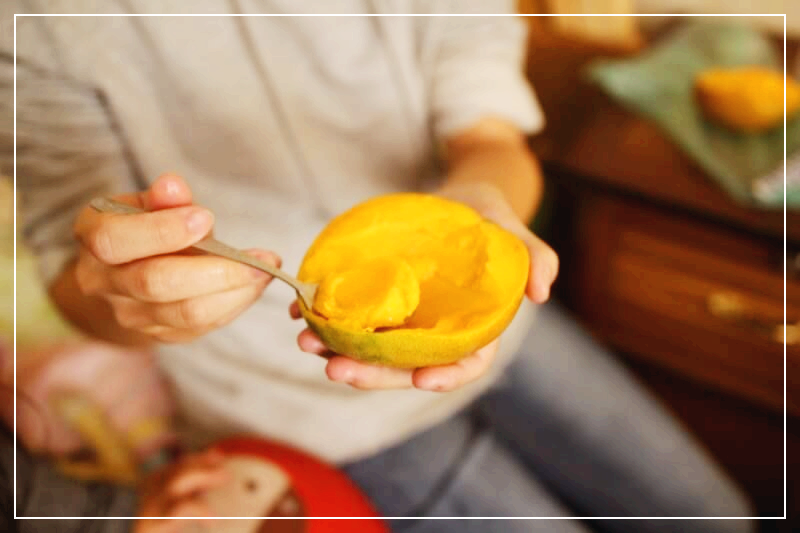 망고 효능 부작용 및 주의사항