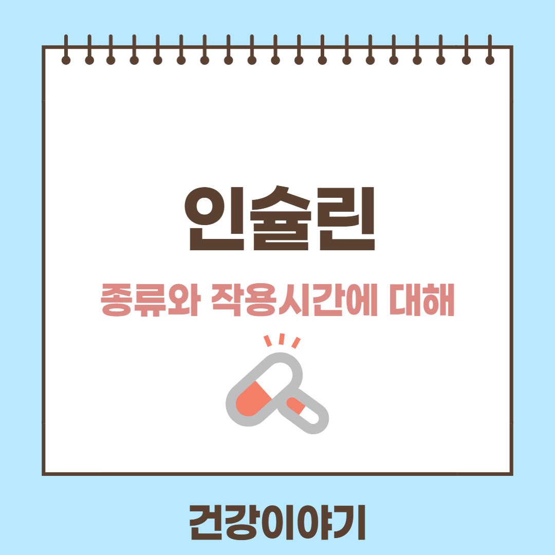 인슐린에 대해