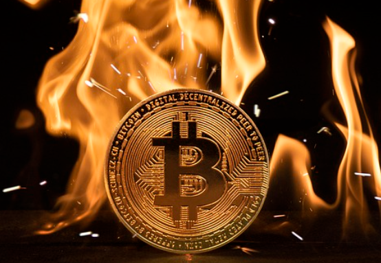 금투세 개념과 개정안 내용