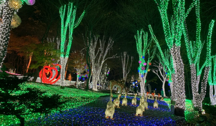 안산 별빛마을 별빛축제