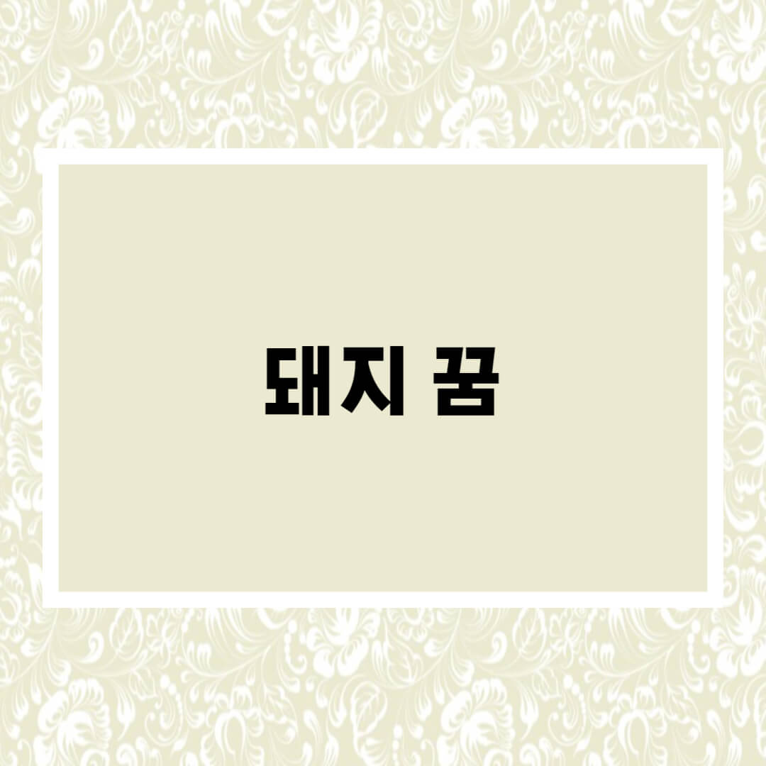 돼지꿈해몽
돼지꿈해몽총정리