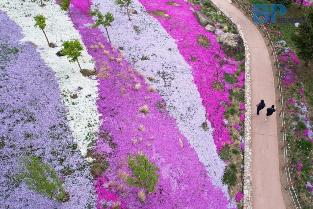 함양-지리산생태체험단지