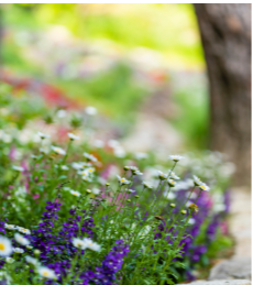 곤지암 화담숲 예약