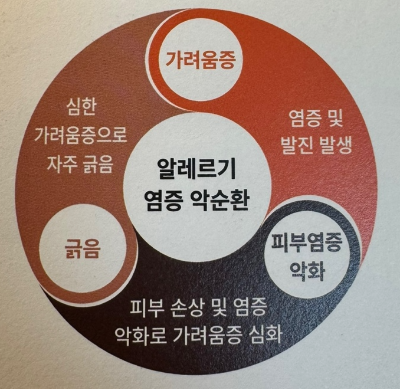 알레르기 염증 악순환 안내