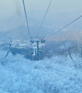 덕유산 곤도라 예약