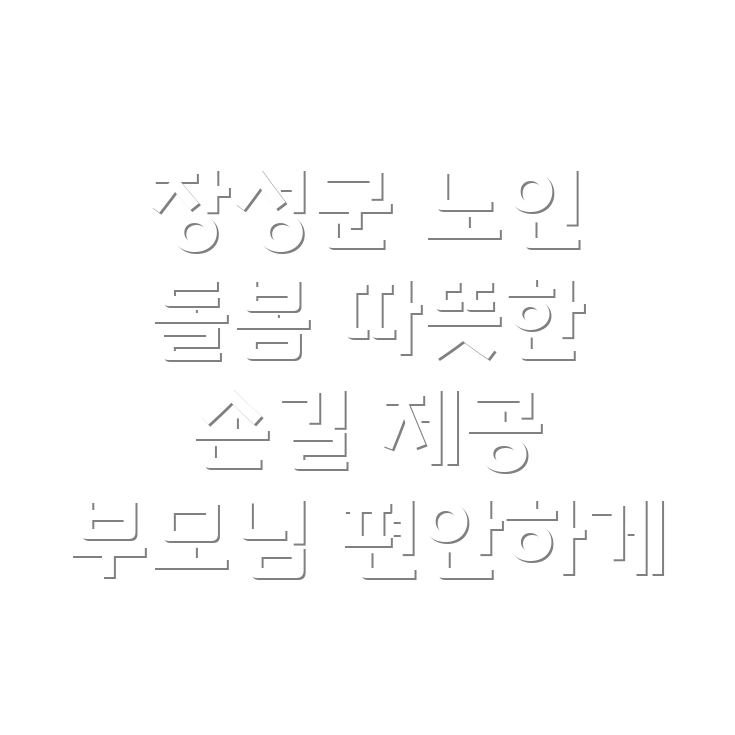 장성군 노인 돌봄 서비스