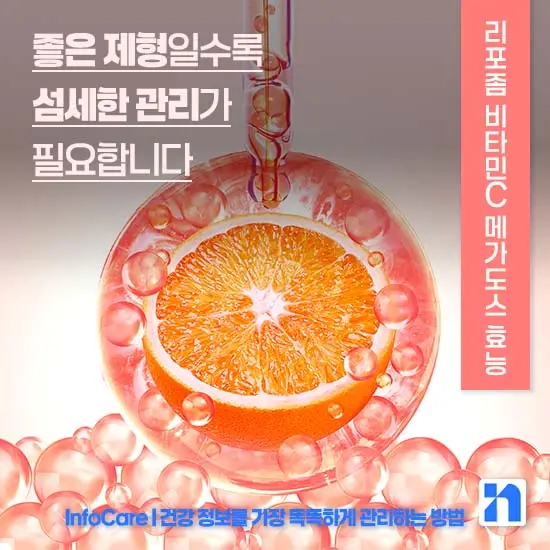 리포좀 비타민C 메가도스 효능
