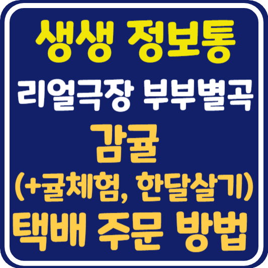 생생 정보통 제주 감귤 택배 주문 방법 (+귤체험, 한달살기) : 리얼극장 부부별곡