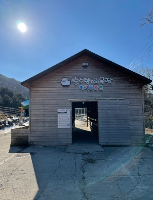 강아지 동반 여행지 추천