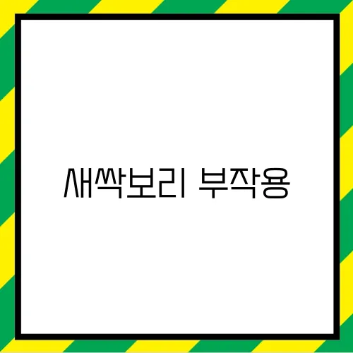 새싹보리 부작용