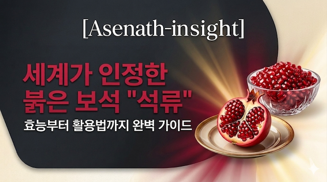 세계가 인정한 붉은 보석 "석류", 효능부터 활용법까지 완벽 가이드