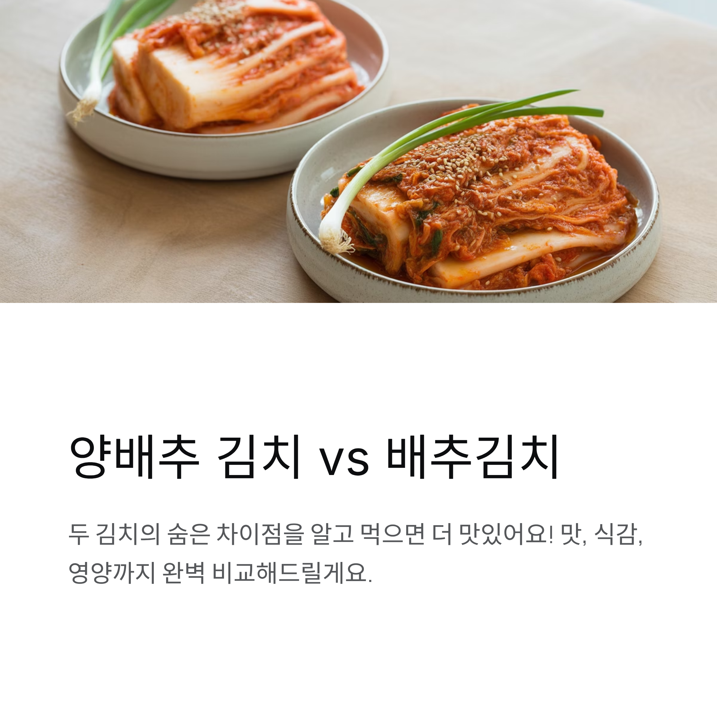 양배추 김치와 배추김치 차이, 알고 먹으면 더 맛있어요