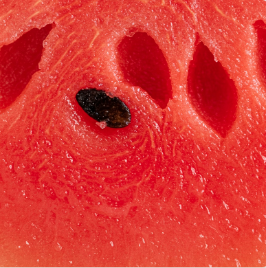 수박 효능: 여름철 필수 건강 과일