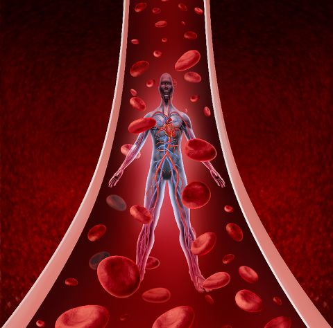 ldl 콜레스테롤 낮추는 방법