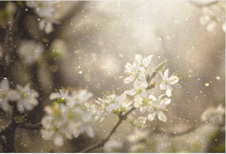 눈 가려움증 원인부터 봄철 안질환 종류