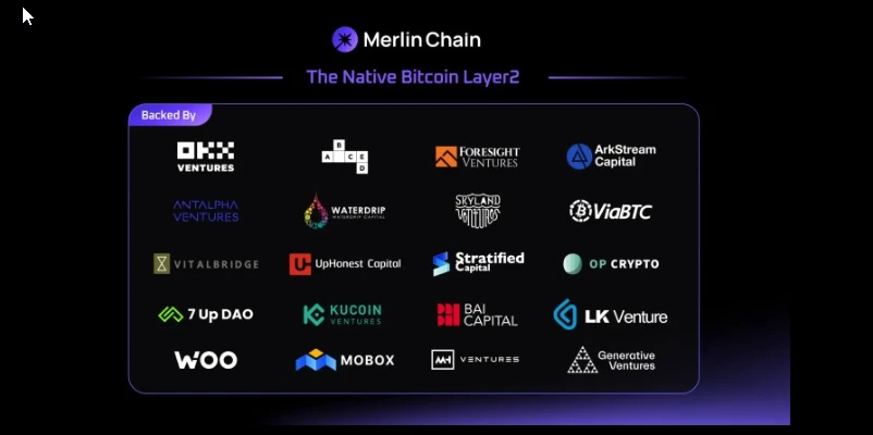 멀린코인의 투자사 리스트