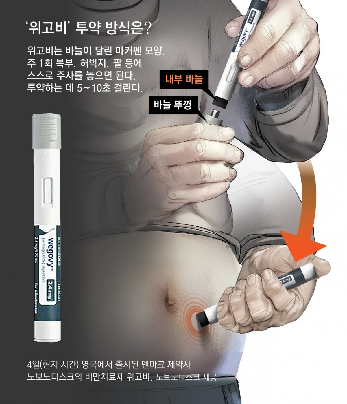 위고비_투약방식