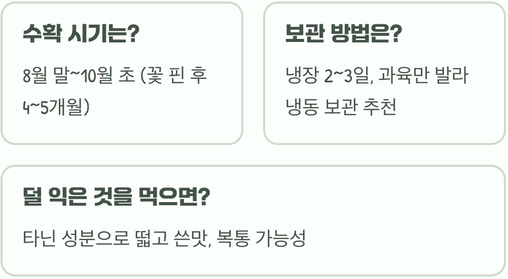 포포나무 수확 시기, 잘 익었는지 확인하는 법